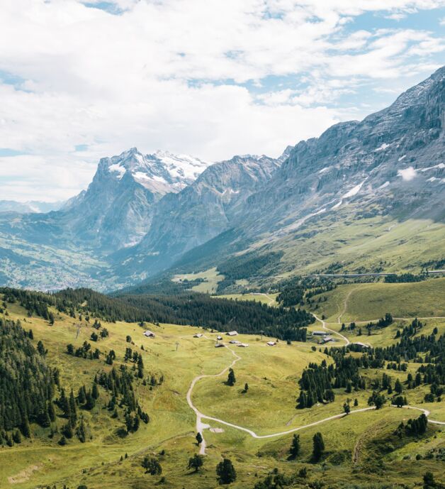 Fotografie von Marco Meyer - Landschaftbild eines Tals mit Bergen und Bäumen